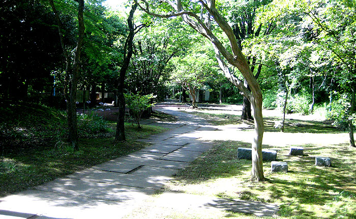 豊ヶ丘第9公園