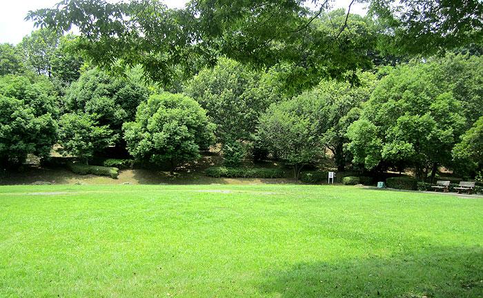 青木葉公園