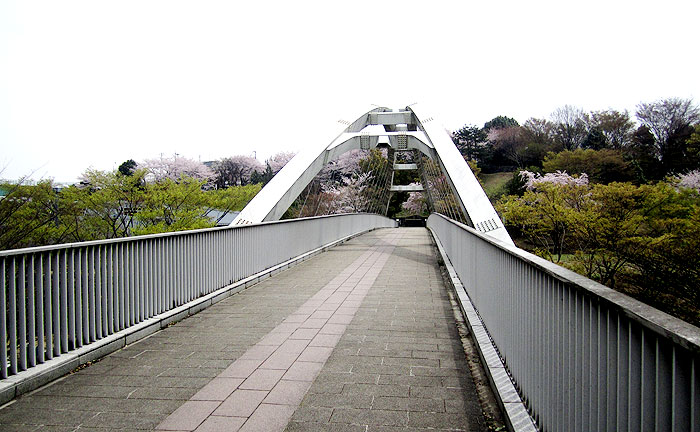 弓の橋