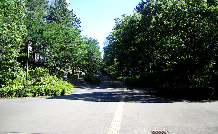 永山北公園