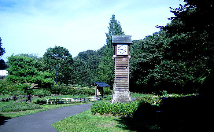 中沢池公園