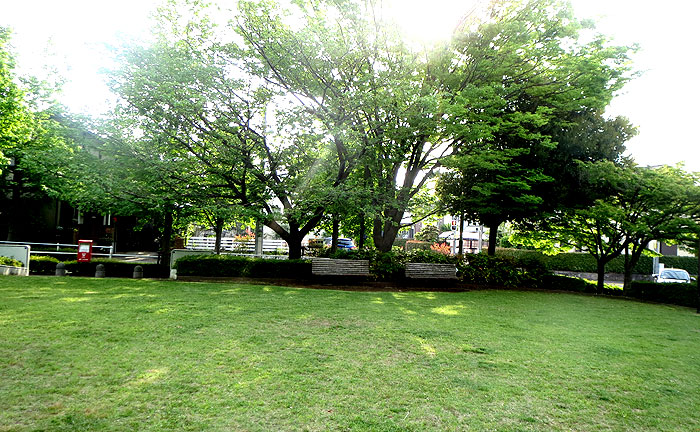 土橋公園