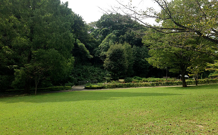 今日の中沢池公園