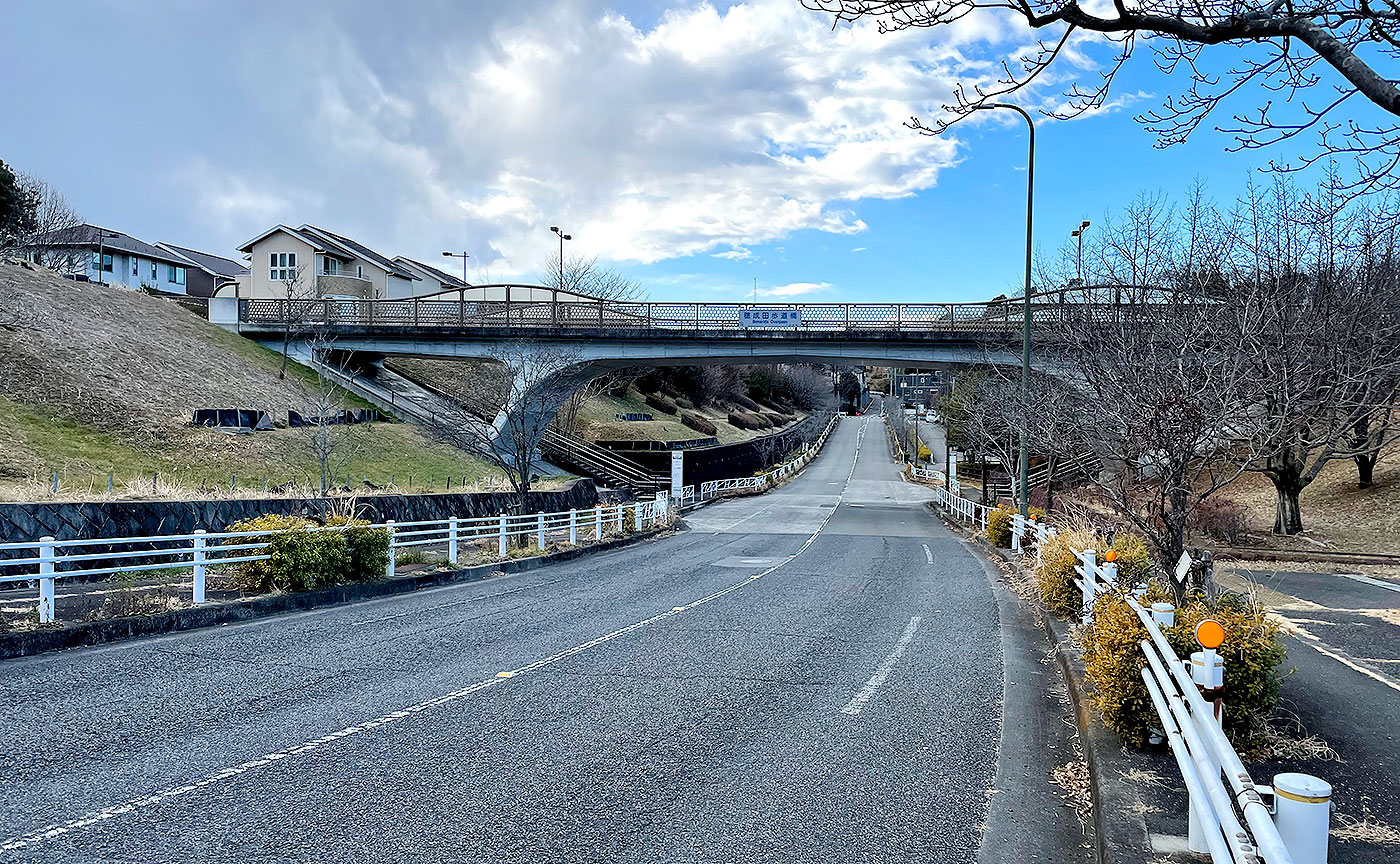 穂成田歩道橋