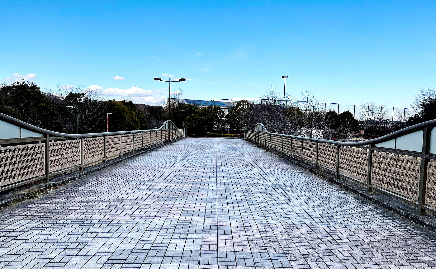 穂成田歩道橋
