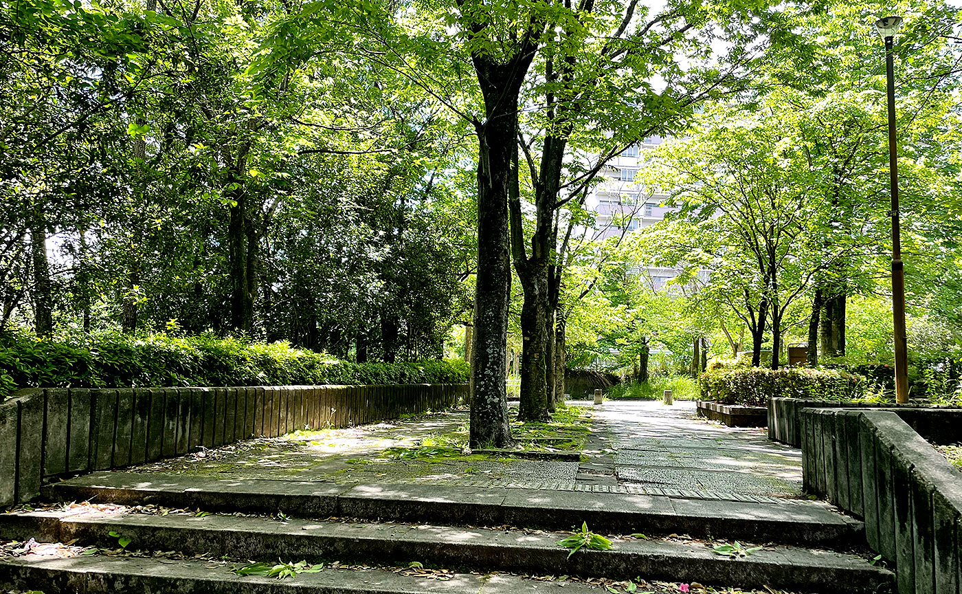 とちのき公園