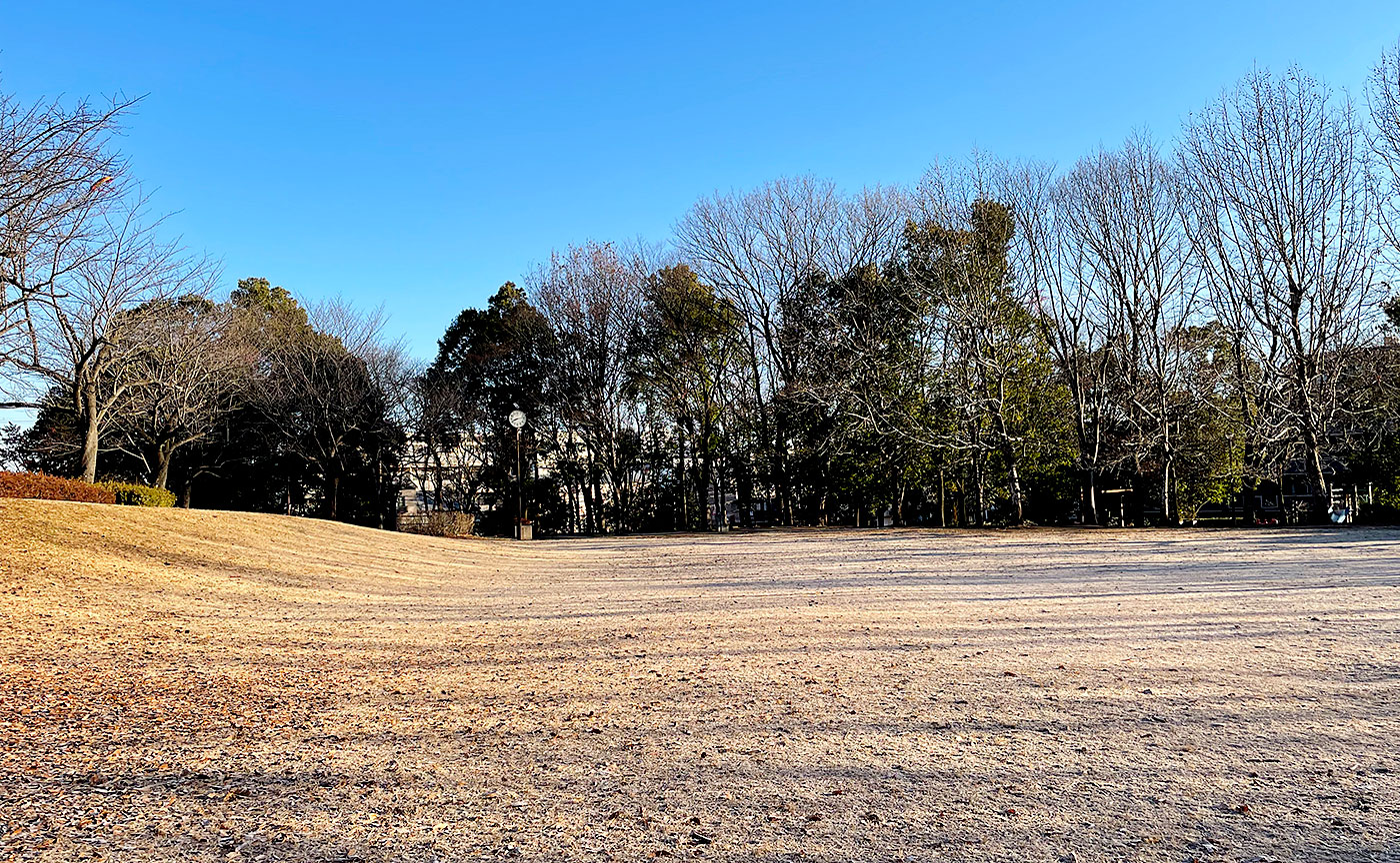 とちのき公園