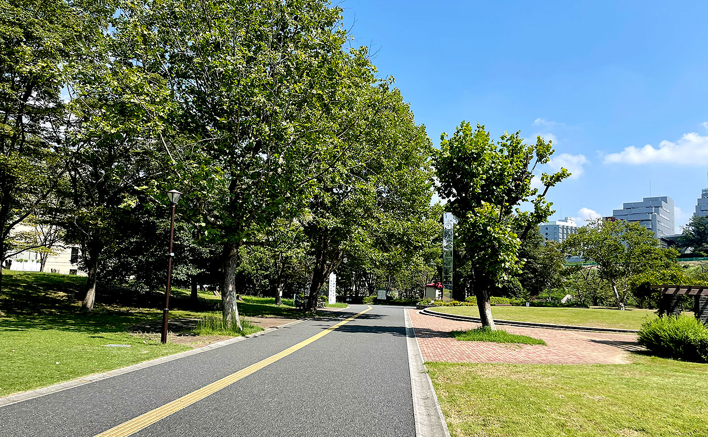 今日の永山北公園