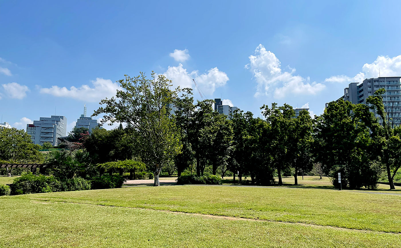 今日の永山北公園