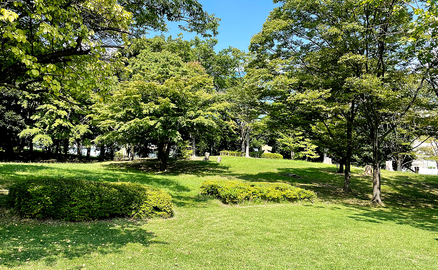 今日の永山北公園