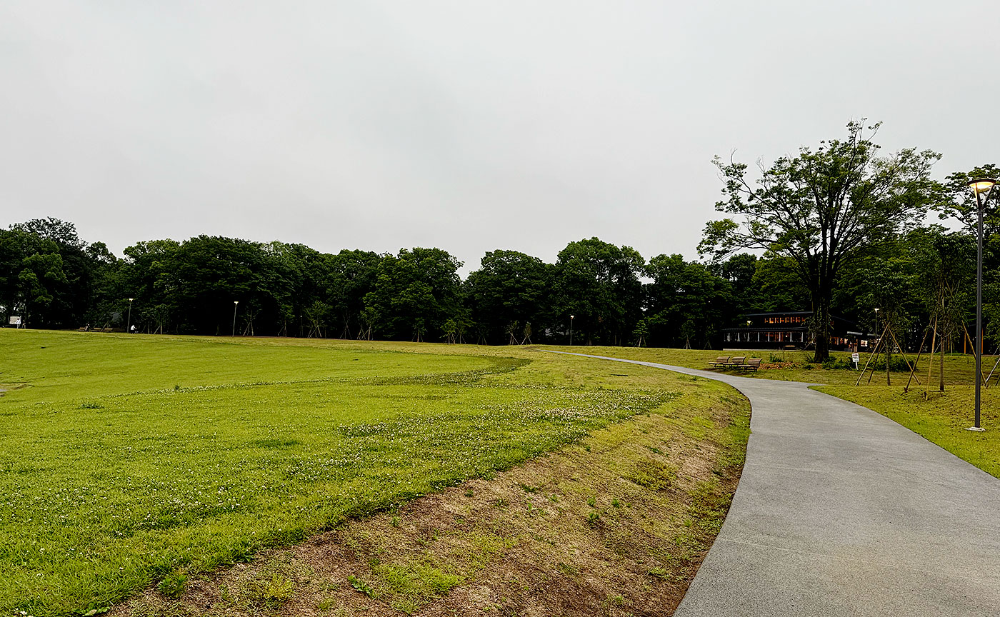 2025年6月10日の多摩中央公園