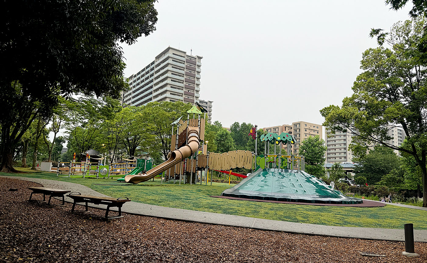 2025年6月10日の多摩中央公園