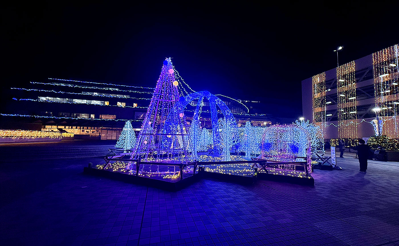 2025年イルミナード