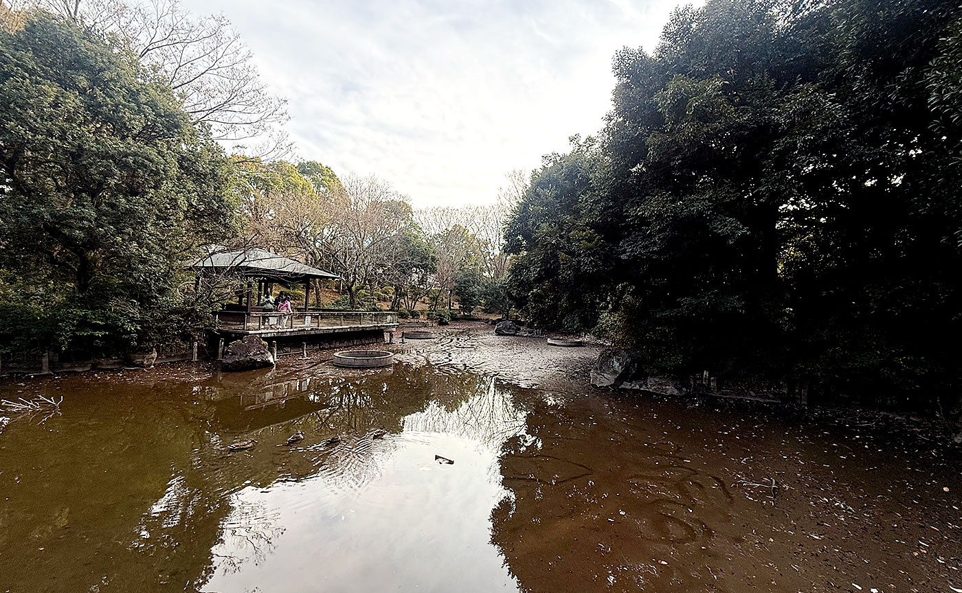 2025年大晦日の多摩ニュータウン