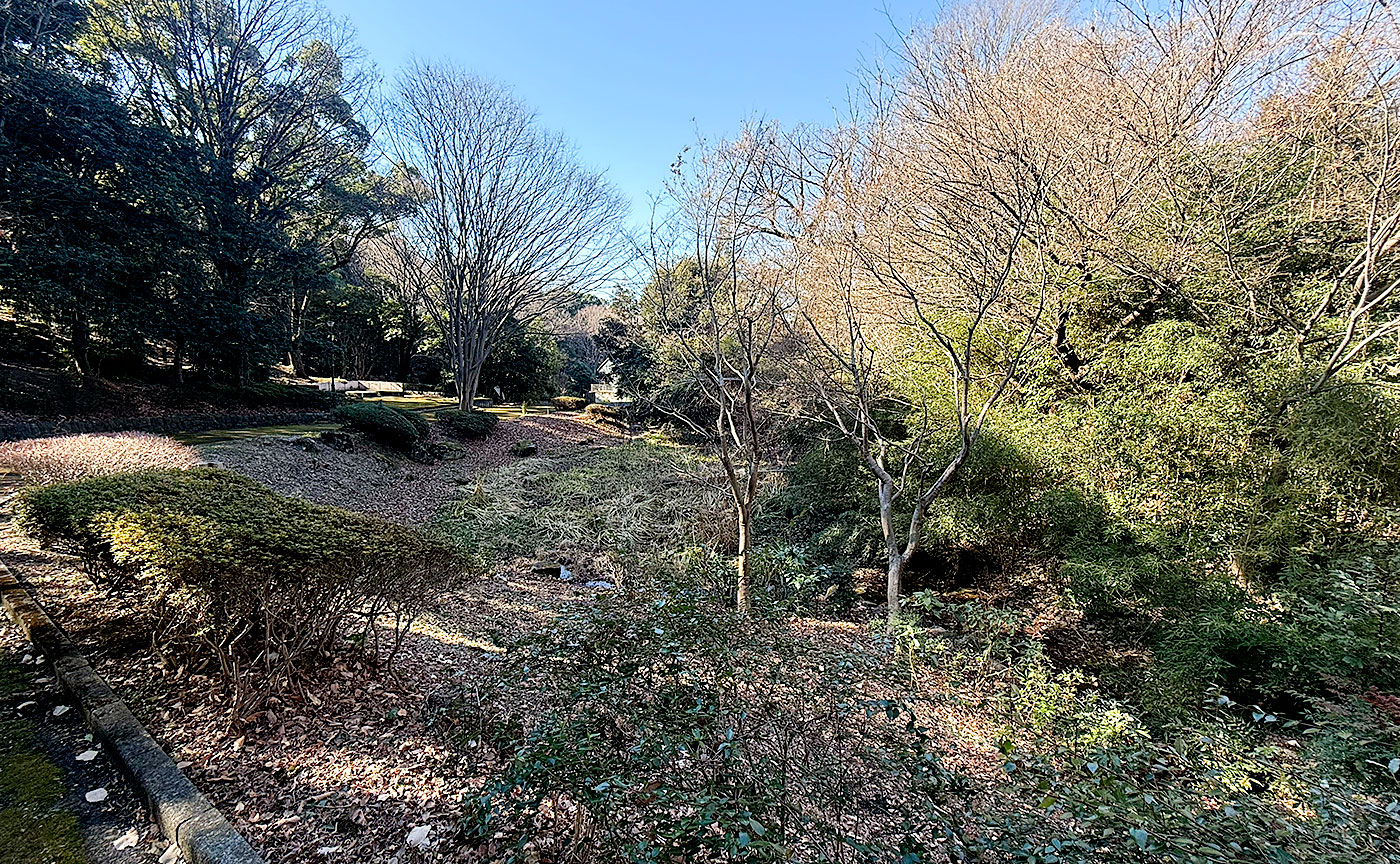 今日のどかん池