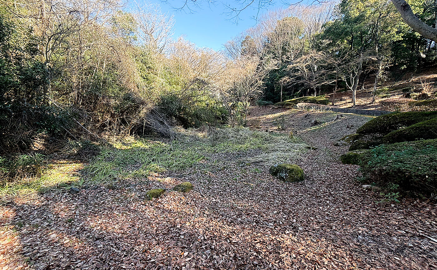 今日のどかん池