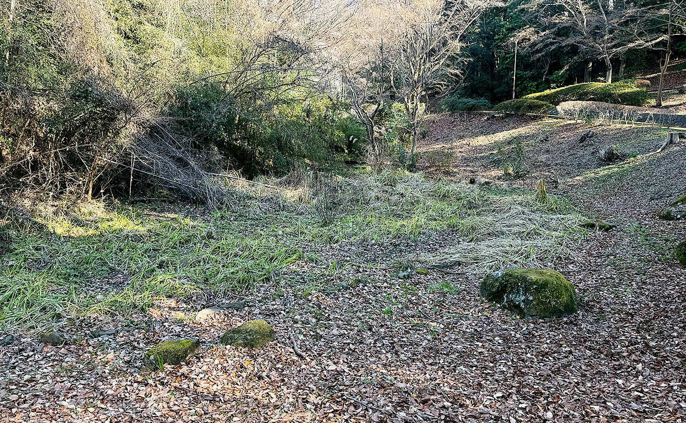 今日のどかん池